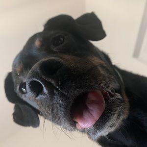 Meet your Posher, Mahalia